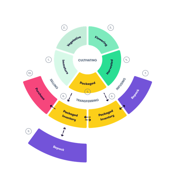 Metrc Security Mistakes That Cost Dispensaries $50K+